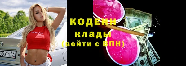 стаф Гусев