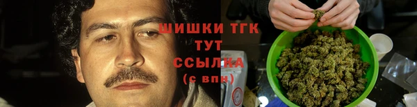 стаф Гусев
