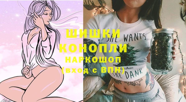 стаф Гусев