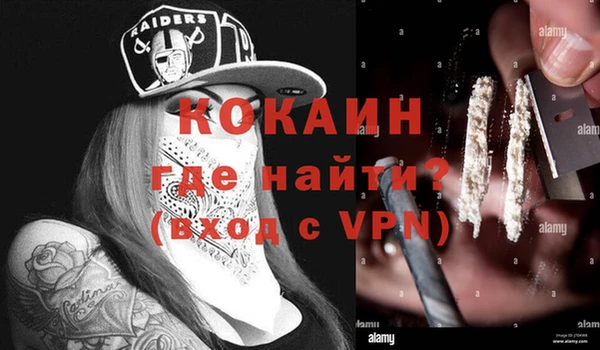 кокс Гусь-Хрустальный