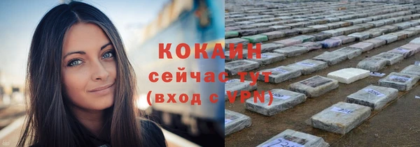 стаф Гусев