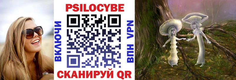 Псилоцибиновые грибы Cubensis  Купить где  Кодинск 
